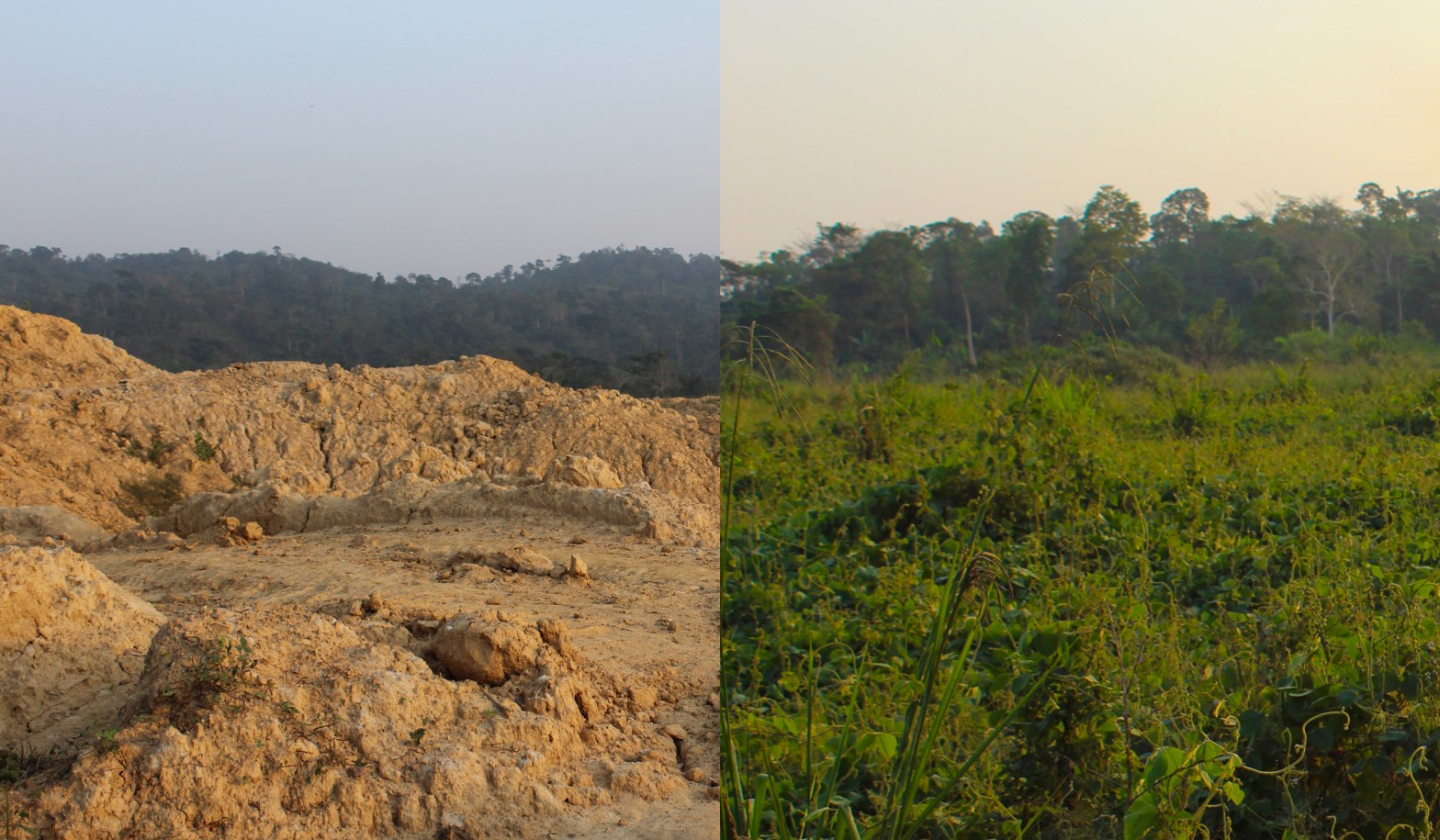 Ghanaian land shown before and after reclamation